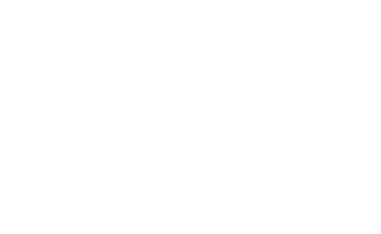 BullzEye™