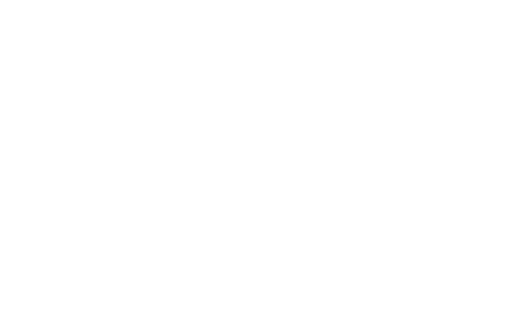 BullzEye™